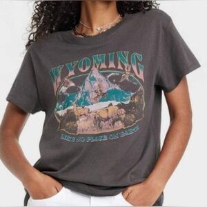 Mighty Fine Wyoming Graphic Tee Gray Western Nature Mountain Shirt Size Small